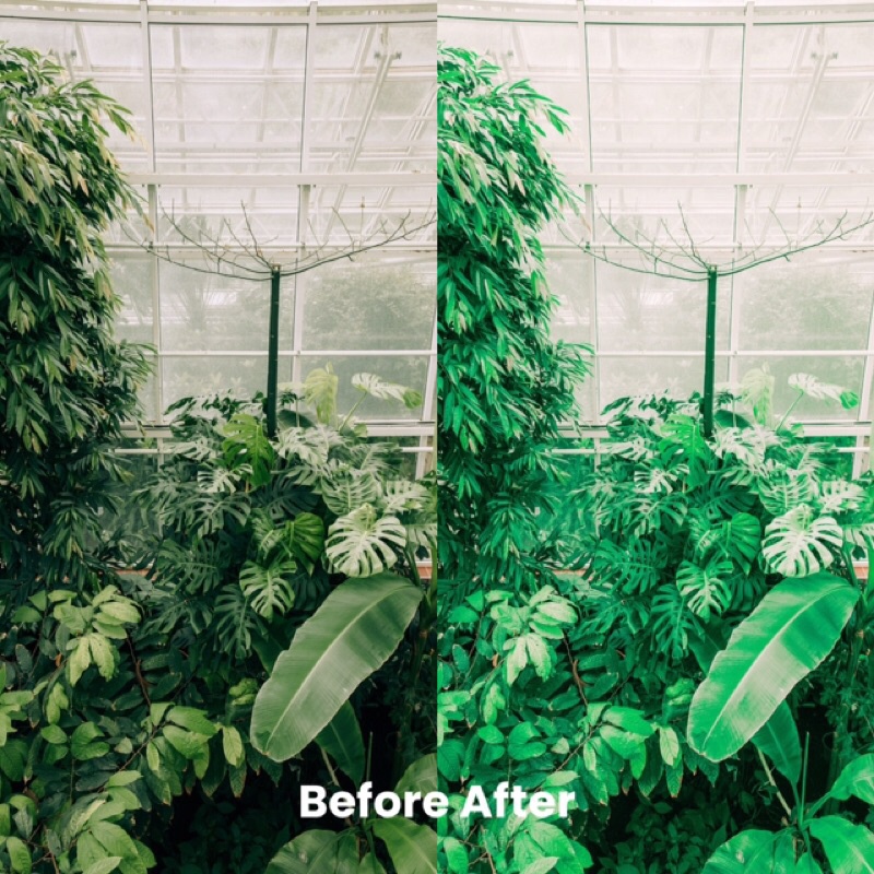 MATCHA TONE PRESET LIGHTROOM (iOS &amp; ANDROID)