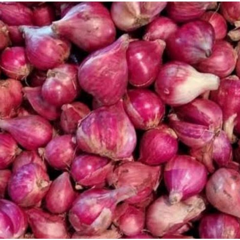 

bawang merah 1/2kg
