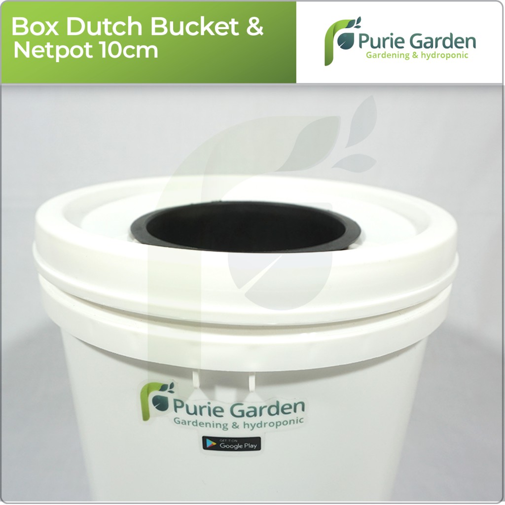 Box Hidroponik Dutch Bucket dan Netpot 10cm