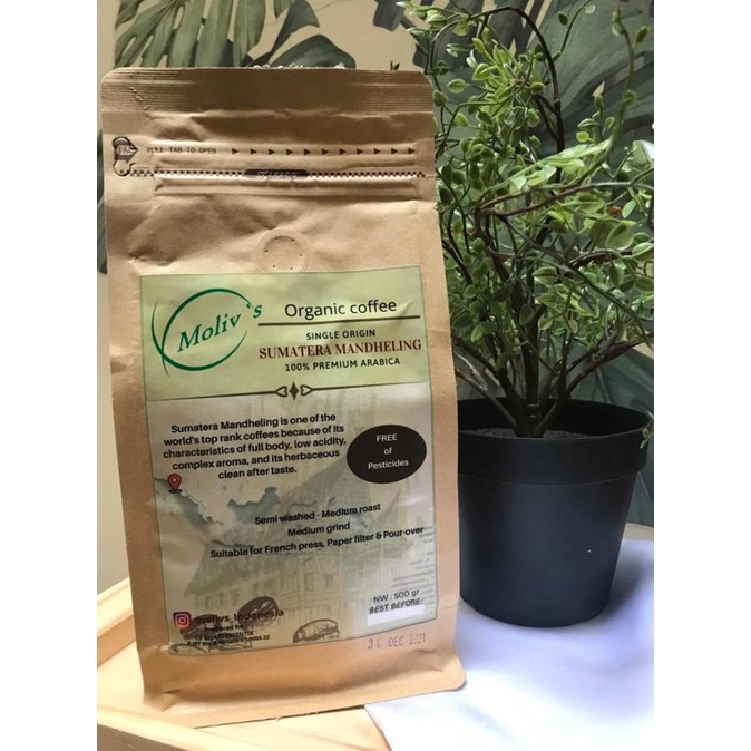 

Hari Ini Kopi Organik Moliv'S- Sumatera Mandheling - 100% Arabica - 500Gr Bagus