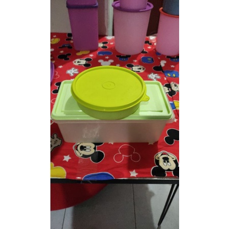 Container+bowl hijau Tupperware second