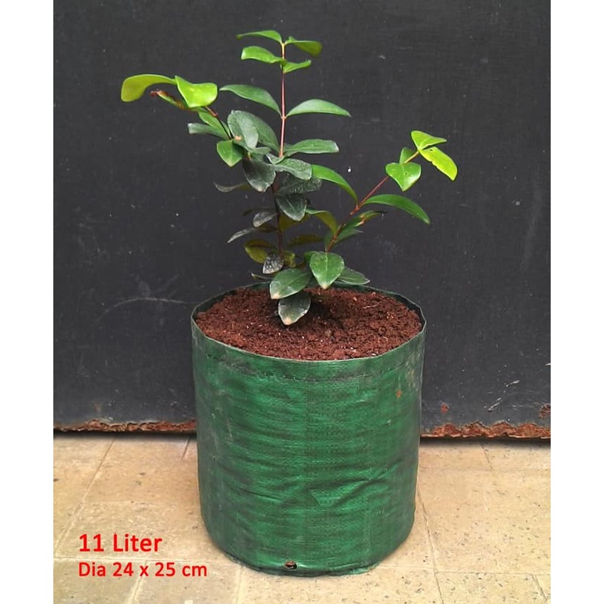 Planter Bag 11 Liter