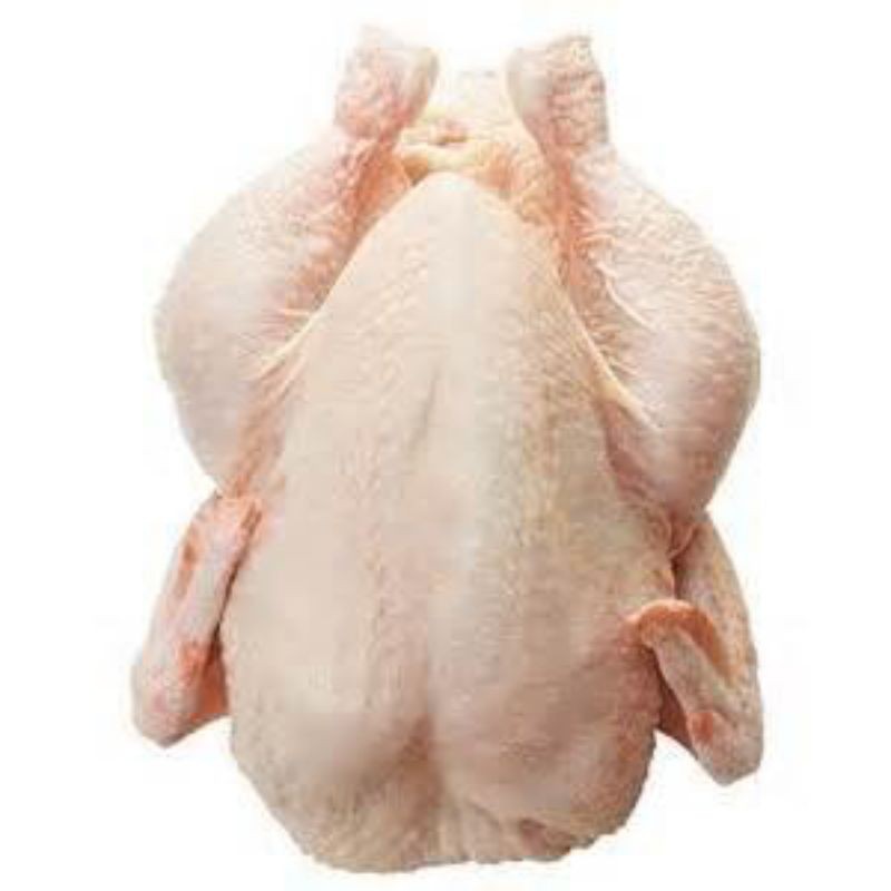 

Ayam negeri kerkas 1.2 - 1.3 kg FRESH