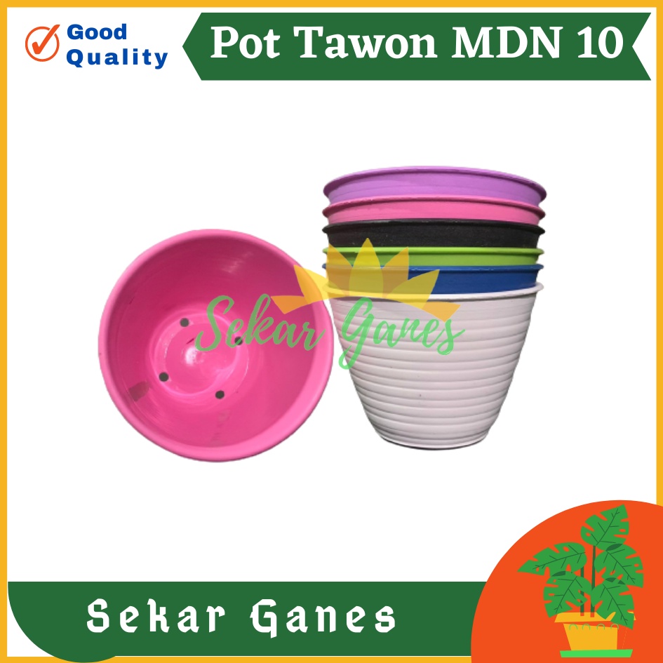 Promo Pot Tawon 10 Cm Putih Pot Mdn - Pot Tawon 10 Cm Pirus Putih  Warna Warni Termurah