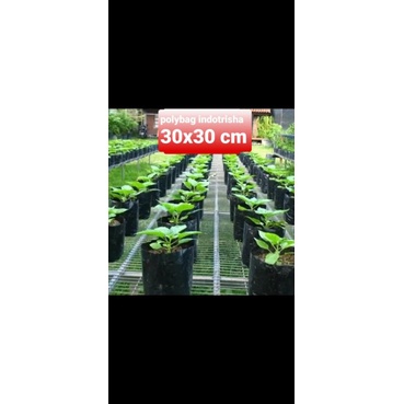 Polybag berkualitas 30x 30 cm 0.5 kg Polibag 30 x 30cm Tanaman Semai Kiloan Kilo An