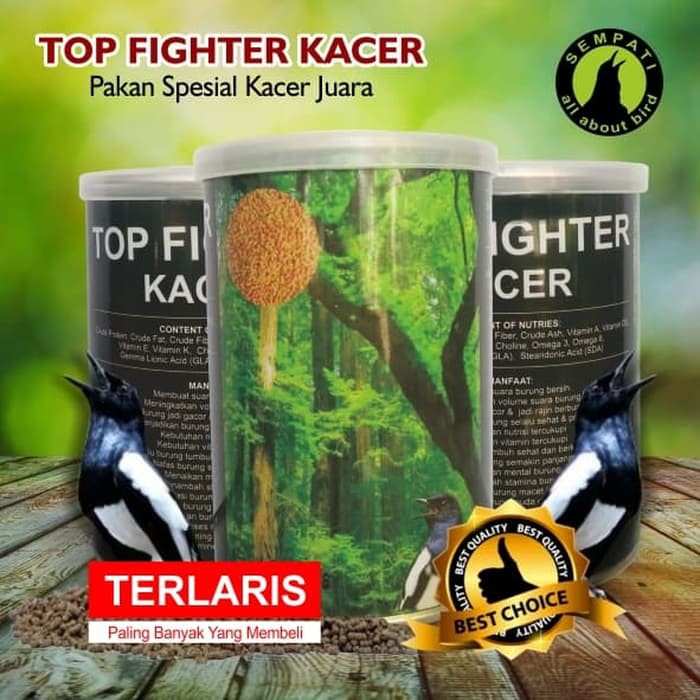 TOP FIGHTER KACER SEMPATI PAKAN LOMBA BURUNG JUARA BERKICAU GACOR