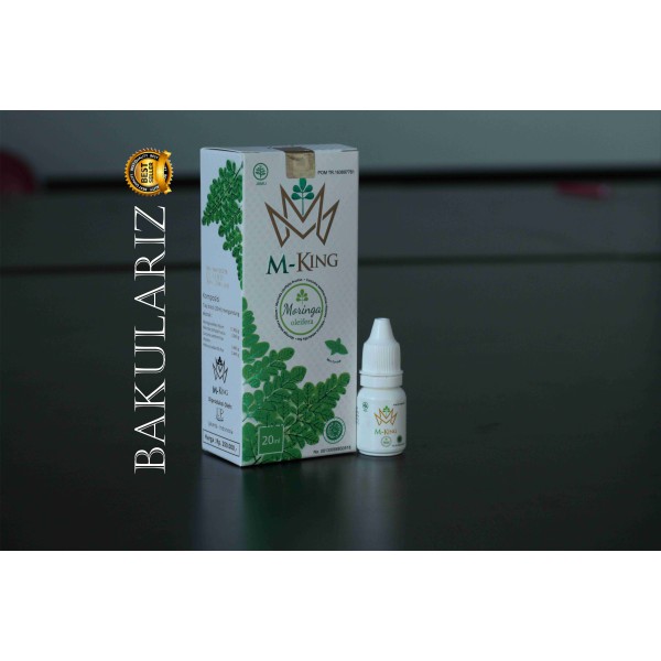 Obat Herbal Stroke Mking M King Shopee Indonesia