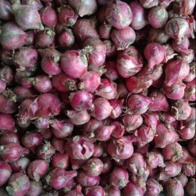 

Bawang Merah Asli Boyolali