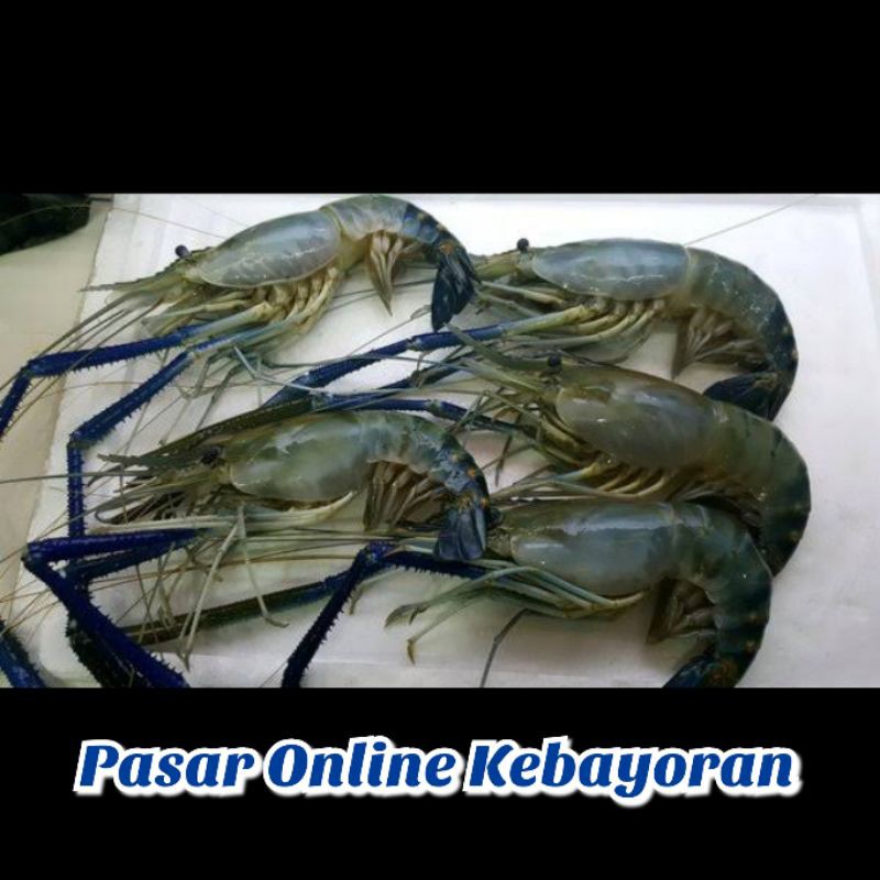 

Udang Galah Segar - 1 Kg/ Size 6 - 10 ( JABODETABEK )