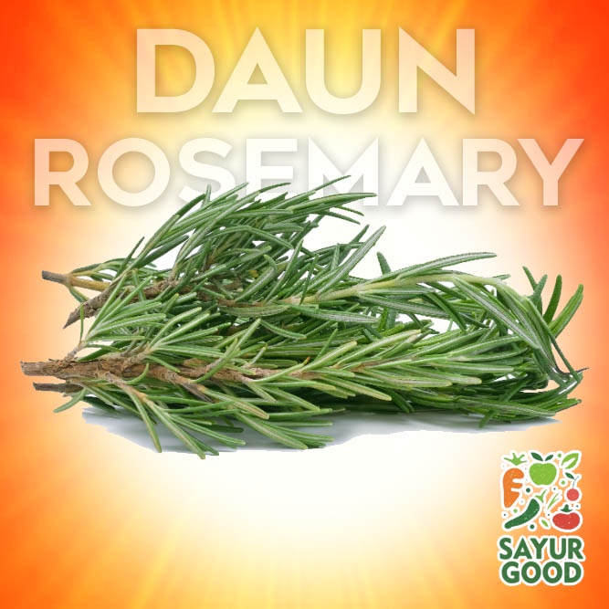 

Daun Rosemary Segar / Rosemary / Pack