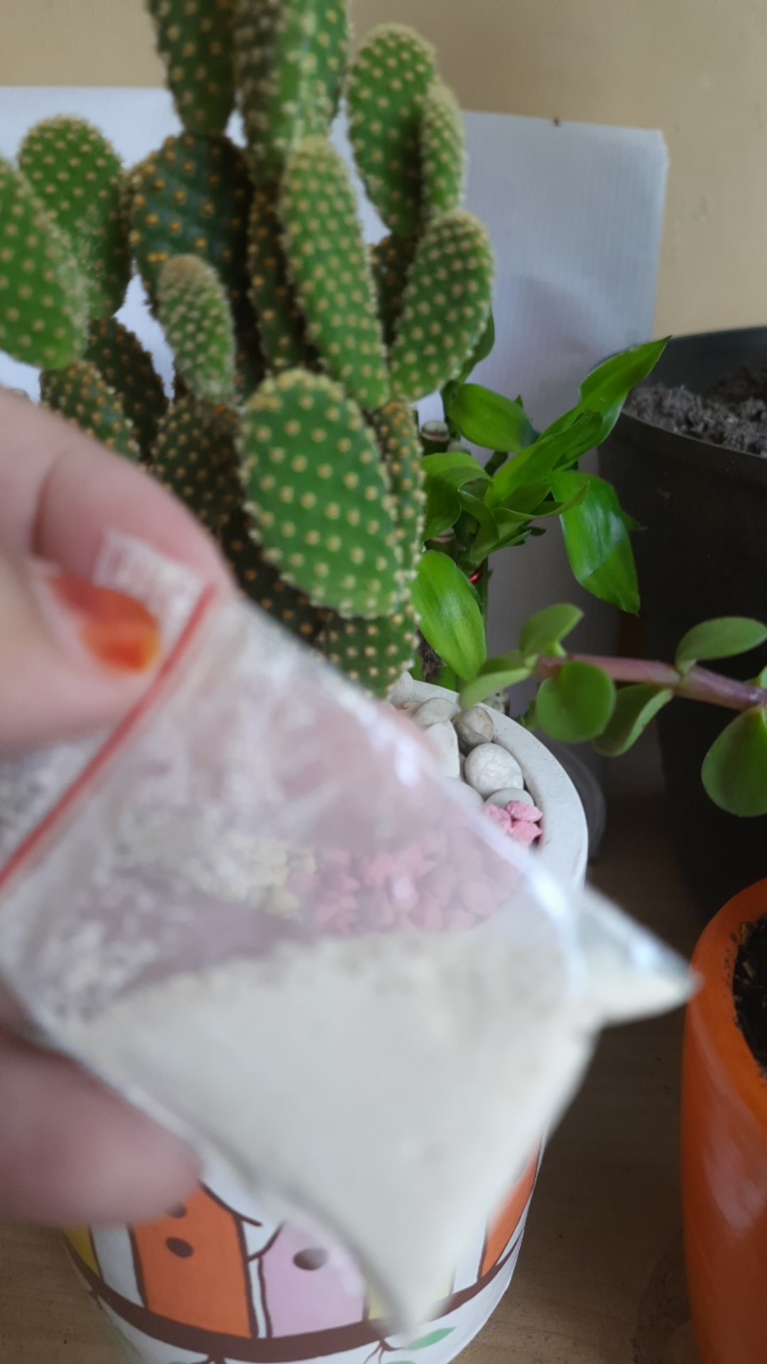 Fungisida Obat Jamur Kaktus Bubuk Ecer