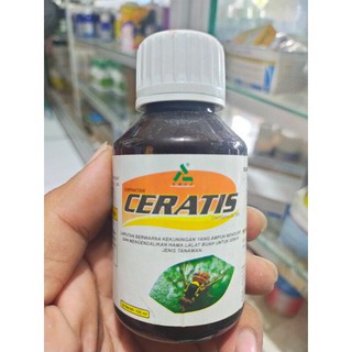 surfaktan pembasmi lalat buah CERATIS 100ml