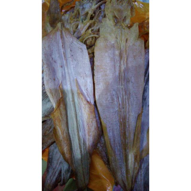 

sotong kering 500 gram