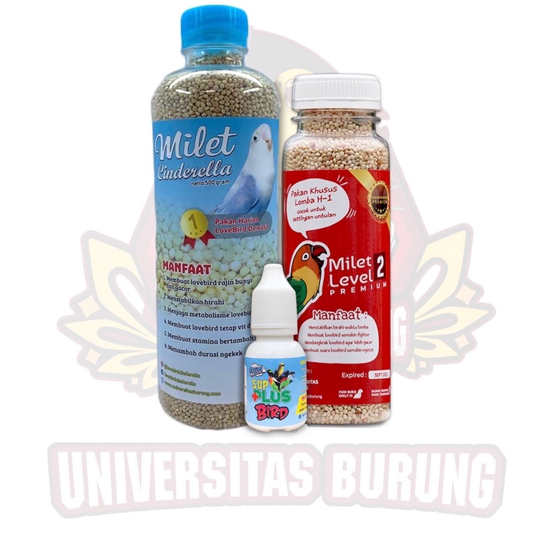 Paket dewasa untulan  (cinderella + level 2 + sup plus )