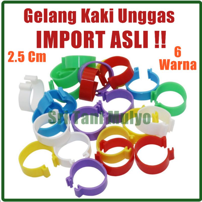 Cincin Gelang Kaki Unggas Diameter 2,5 Cm - Ring Ayam Bangkok 6 Warna Gelang Kaki Unggas Eceran Harg