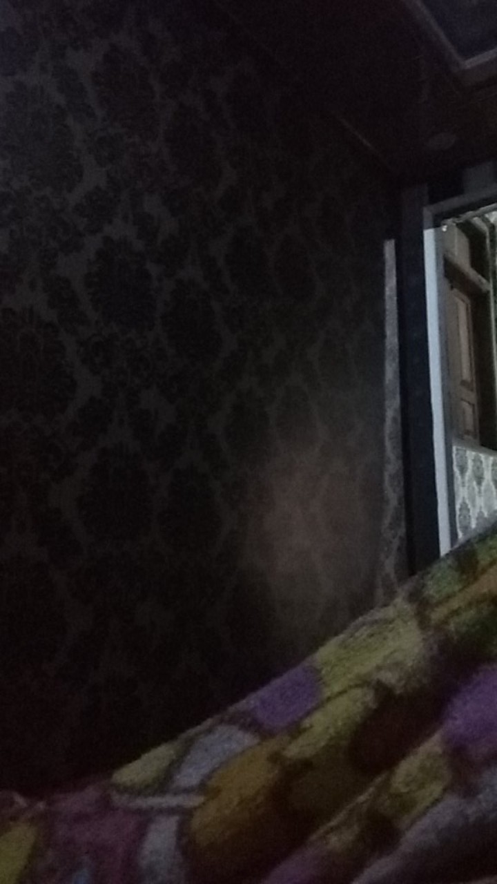 Pisau Acar Stainless / Pisau Kentang / Pisau Timun / Pisau Wortel / Pisau Serbaguna Murah