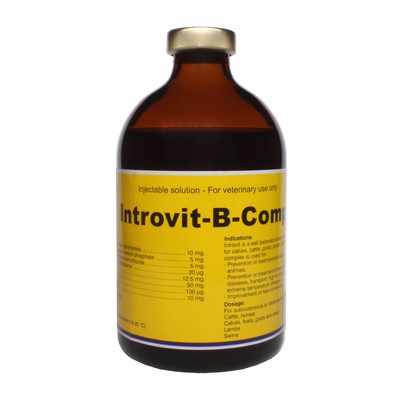 Introvit B-Complex 100 ml