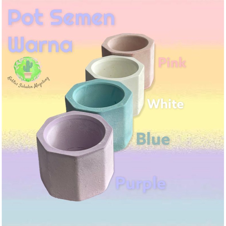 Pot Kaktus Semen Mini