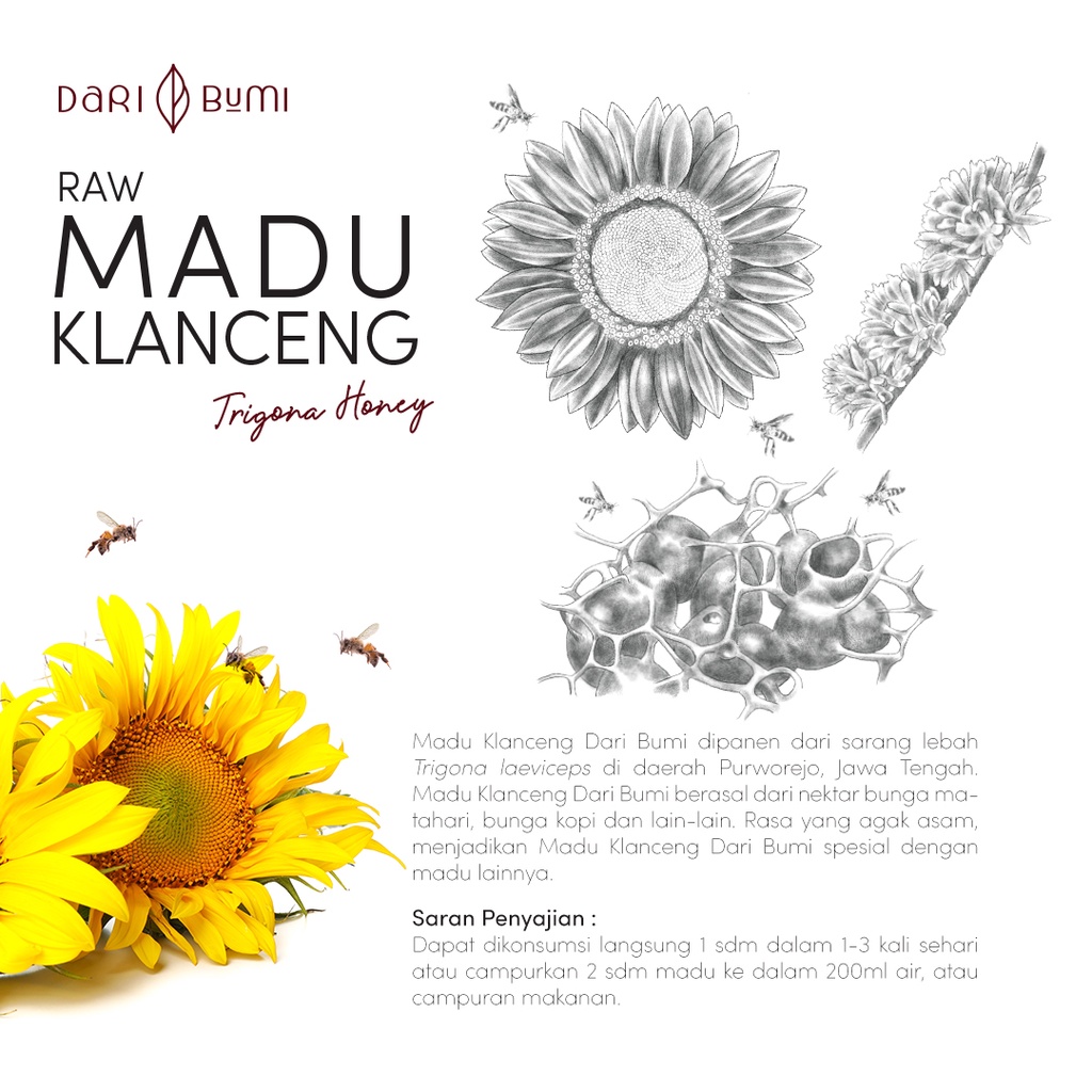 Madu Murni Klanceng 350g Dari Bumi Premium Pure Original