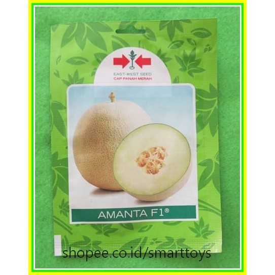 BEST SELLER TC09 Benih Melon Madu Amanta F1 Panah Merah Pack 40 Butir