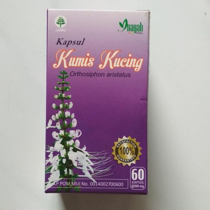 KUMIS KUCING KAPSUL [INAYAH] – OBAT KENCING MANIS ALAMI – INFEKSI KANDUNG KEMIH – BATU KANTUNG EMPEDU