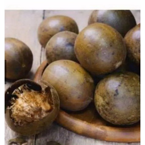 

HS BUAH LO HAN KUO JUMBO obat panas dalam sakit tenggorokan 3 pcs