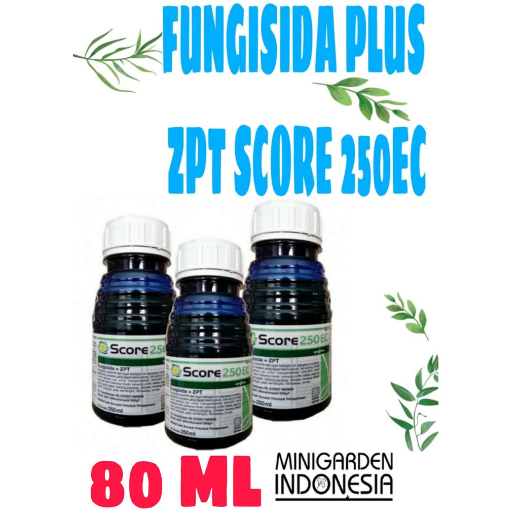 SCORE 250 EC 80ML FUNGISIDA PLUS ZPT  pengendali penyakit tanaman obat cendawan jamur zat pengatur