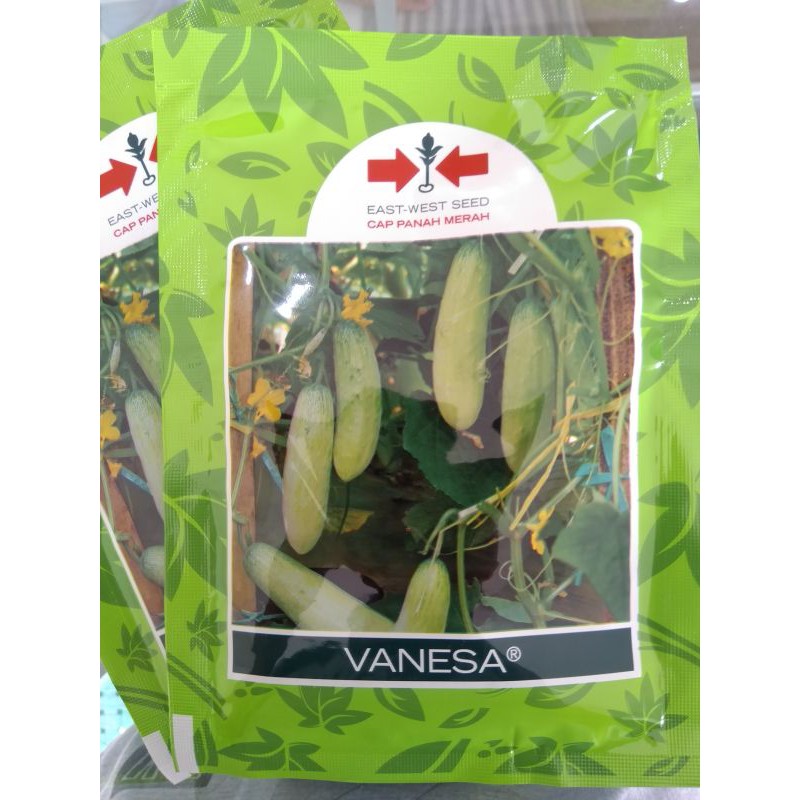 Benih timun lalap VANESA 20gram Cap Panah Merah