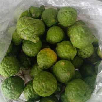 

Jeruk Purut