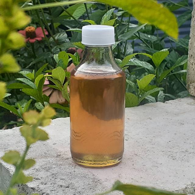 

[ ISI 140 ML ] Madu Murni Tanpa Proses | Raw Honey Nextar Kapuk Randu 100% Natural