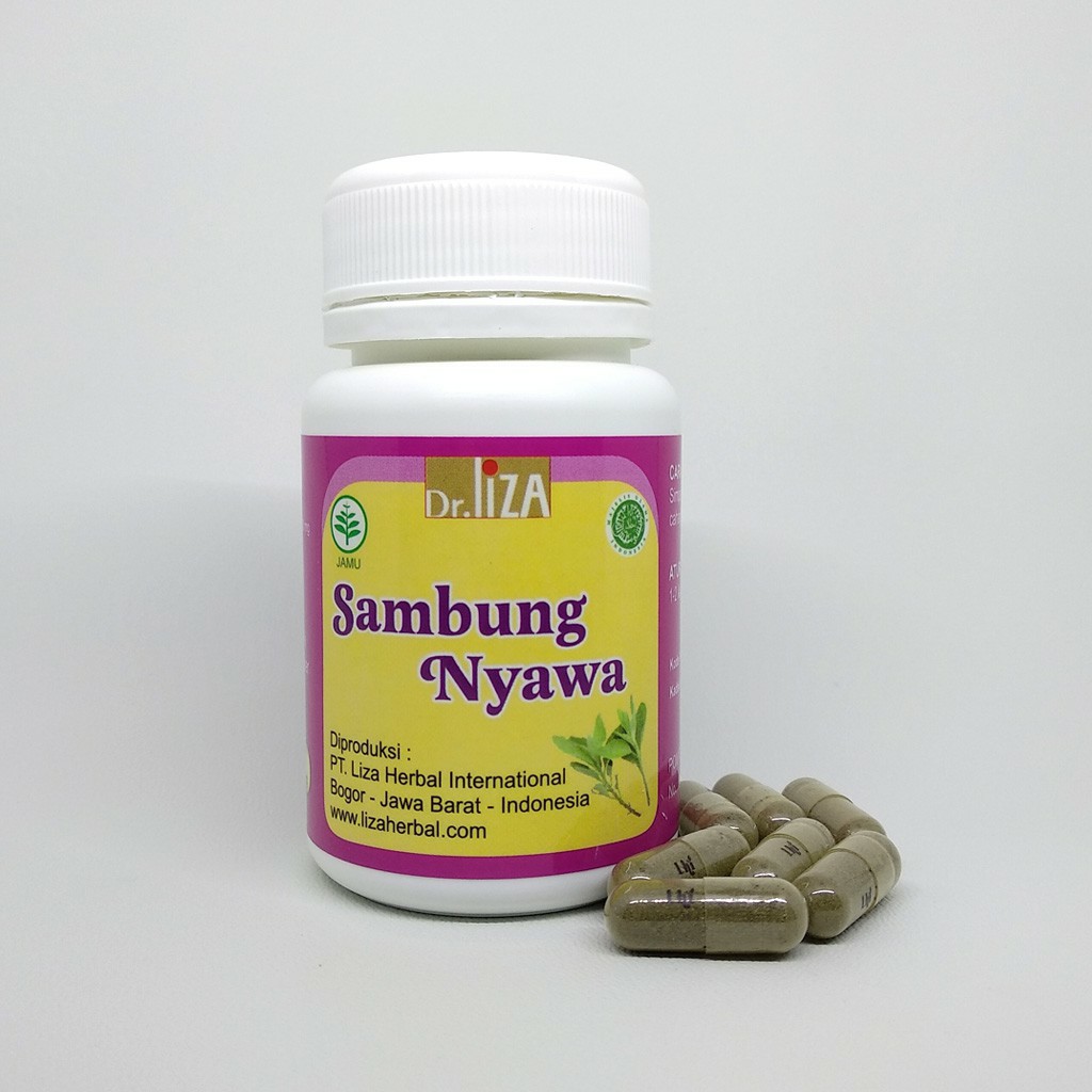 

Sambung Nyawa Liza Herbal untuk Kanker dan Sinusitis