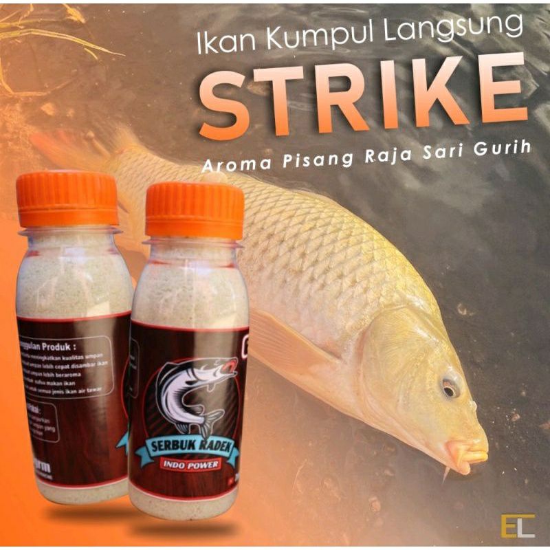 essen pengumpul ikan gacor aku aroma pisang raja