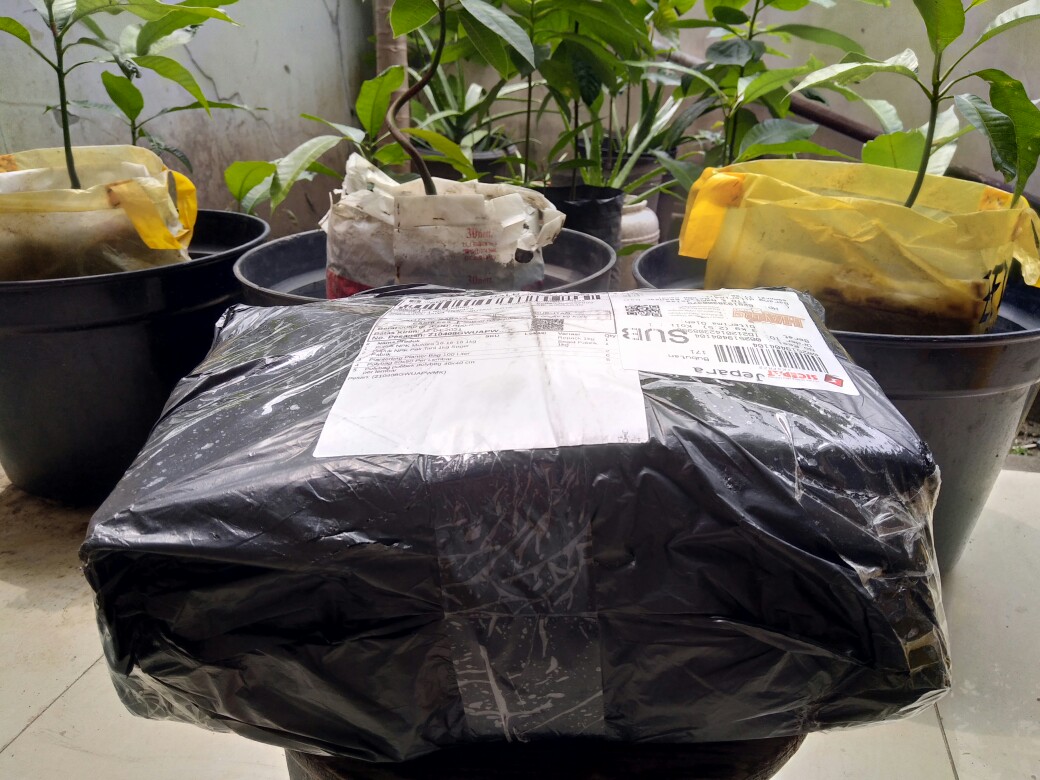 Polybag Polibek Polybeg 40x40 Cm Per Lembar