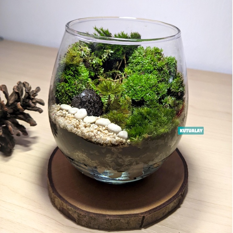 Terrarium Gelas Hutan Mini Forest Terarium Glass Hiasan Tanaman