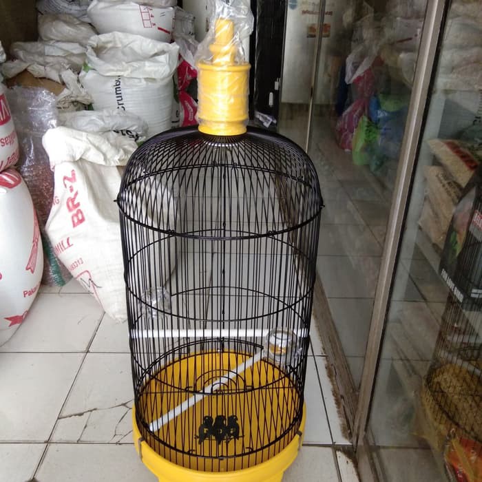 Kandang Love Bird Pvc Ebod Jaya Warrna Kuning Lb1379 Shopee