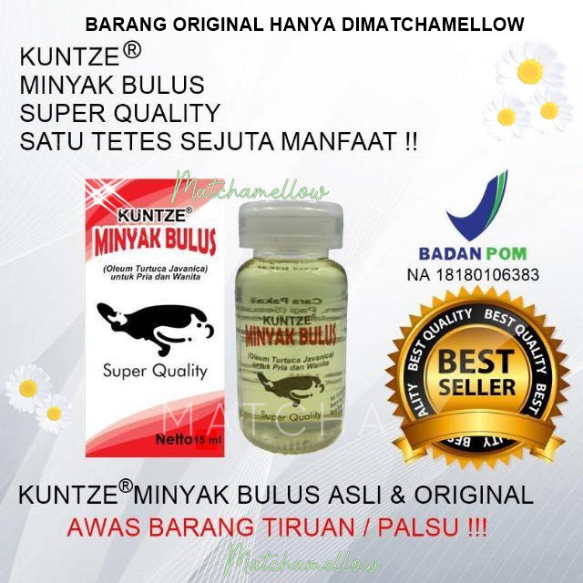 ❄️MATCHA❄️ KUNTZE MINYAK BULUS ORIGINAL BPOM / MINYAK BULUS ASLI ORIGINAL PEMBESAR PAYUDARA