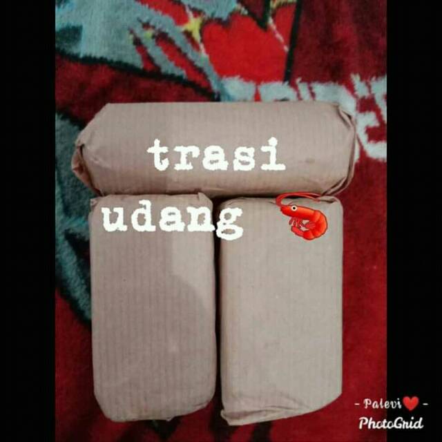 

Trasi udang