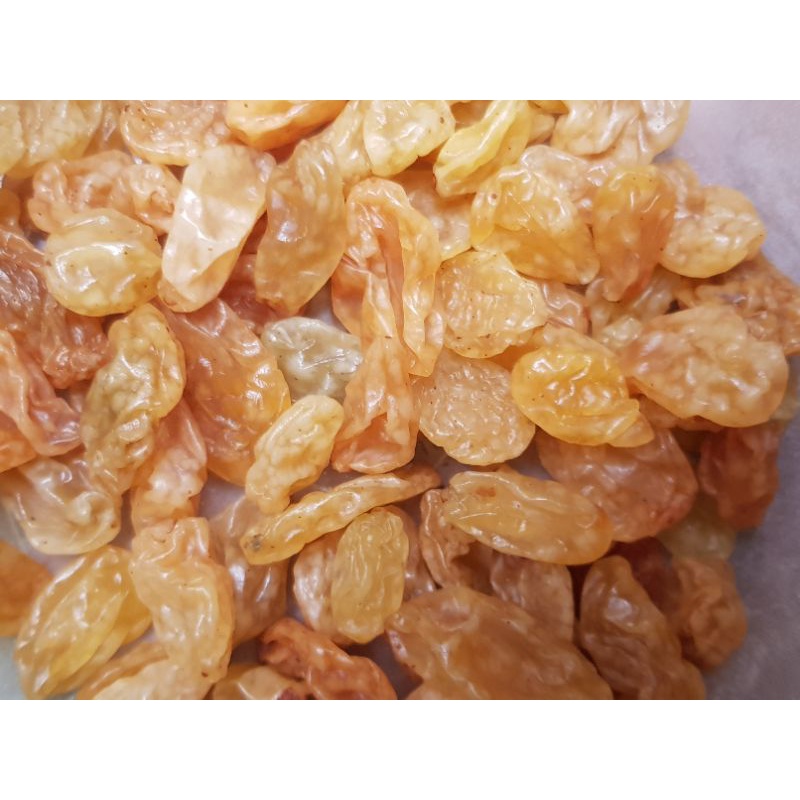 Golden Raisin/Kismis Berkualitas 20g Snack Hamster Makanan Hamster/lovebird/ sugar glider