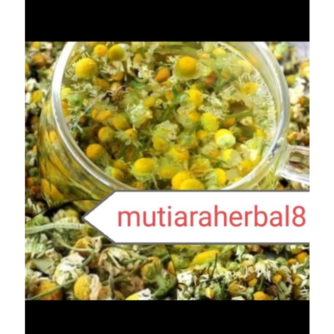 

Bunga chamomile kering l German chamomile l wangi tidak pahit 1kg