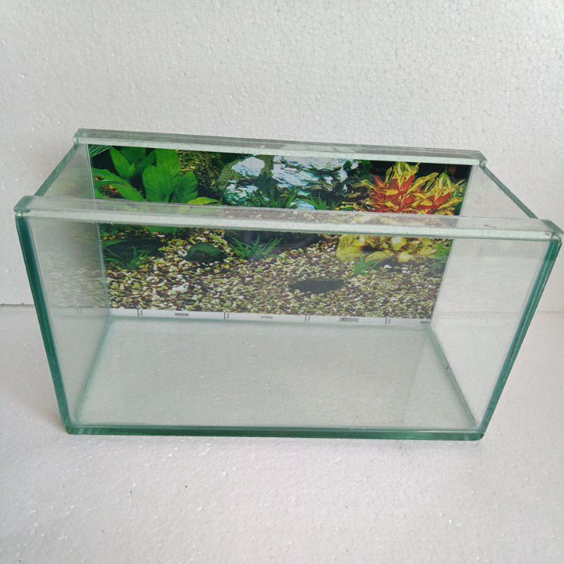 Aquarium mini background,aquarium ikan chana ikan hias 30x15x15