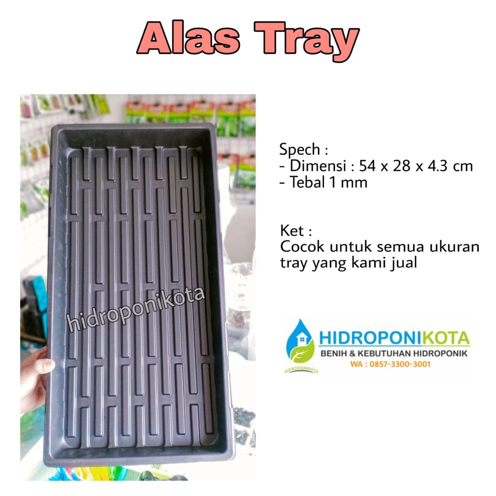 FREE Packing Kardus - Alas Tray Semai - Nampan Semai - Tebal 1 mm