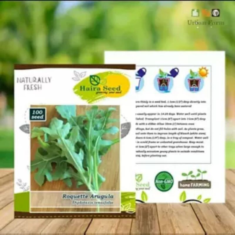 100 BUTIR BIJI ARUGULA ROQUETTE