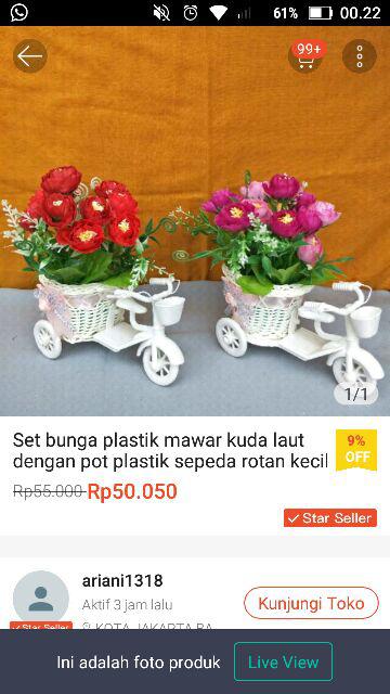 Ariani1318 Set Bunga Plastik Semanggi Dengan Pot Plastik Putih Bulat