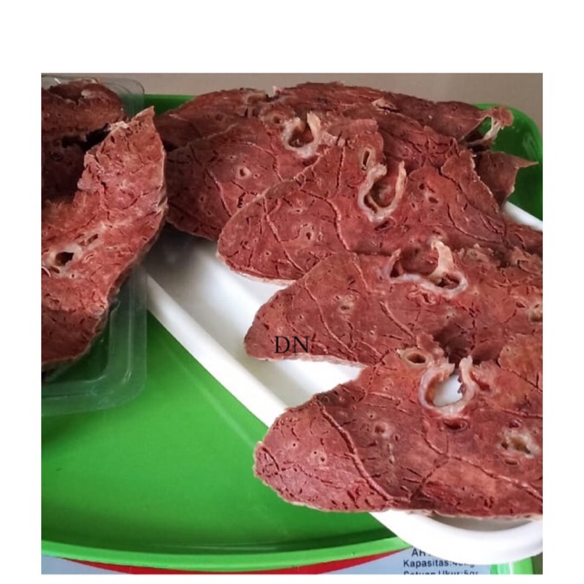 

Daging paru segar