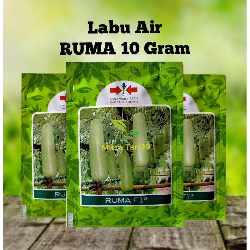 BENIH BIBIT TANAMAN LABU WALUH AIR RUMA 10 GRAM CAP PANAH MERAH