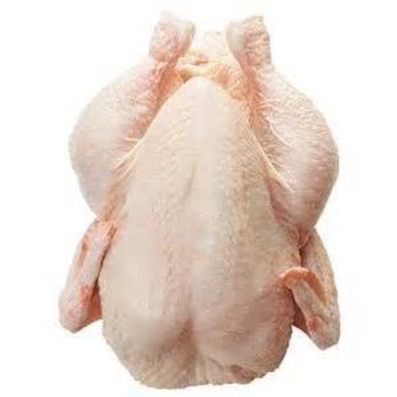 

AYAM BROILER 800-1000gr