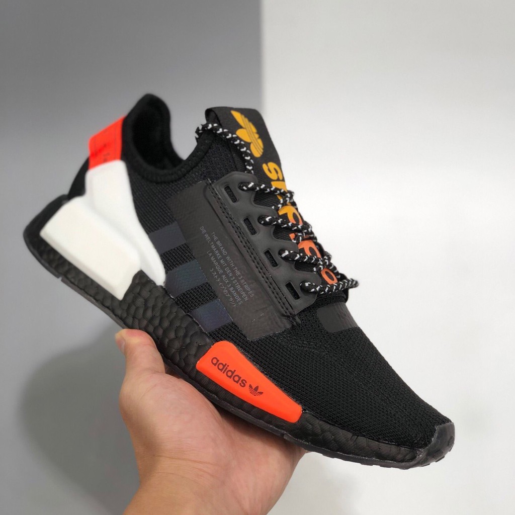 coral nmds