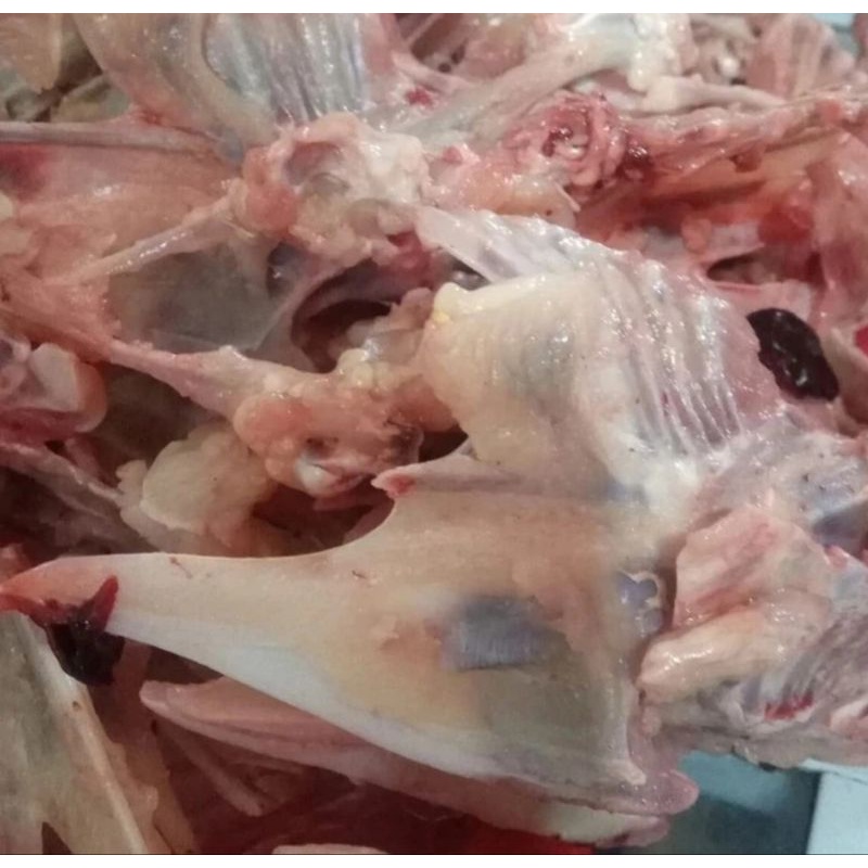 

tulang ayam untuk seblak 500 gr