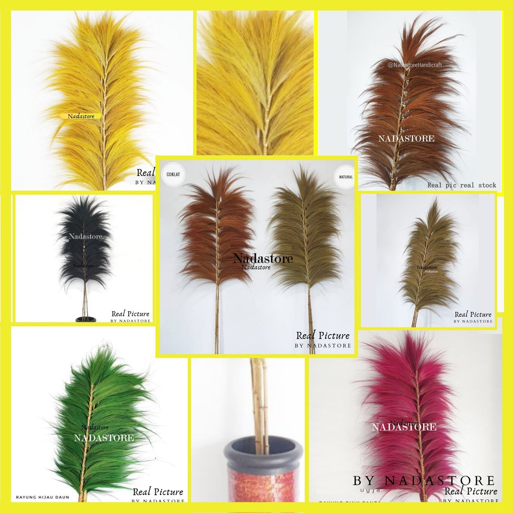 Rayung Stick / Bunga Kering / Dried flower / Bunga Hias / Natural Leaf Rayung Stick Pelangi Satuan