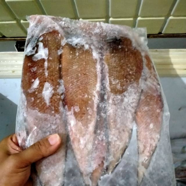 

Ikan lidah jumbo